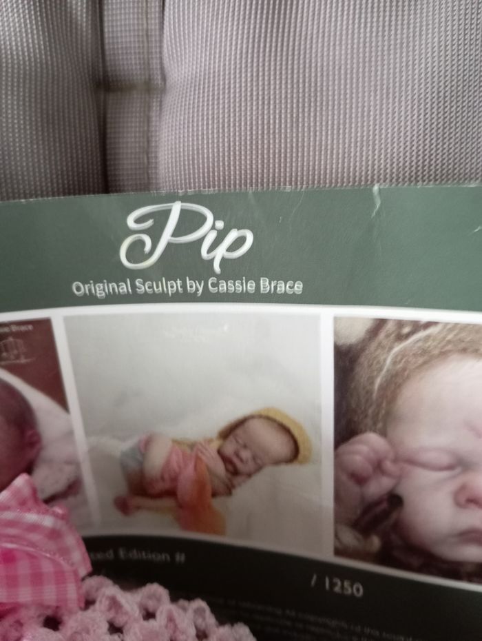 Reborn serie limitée - photo numéro 3