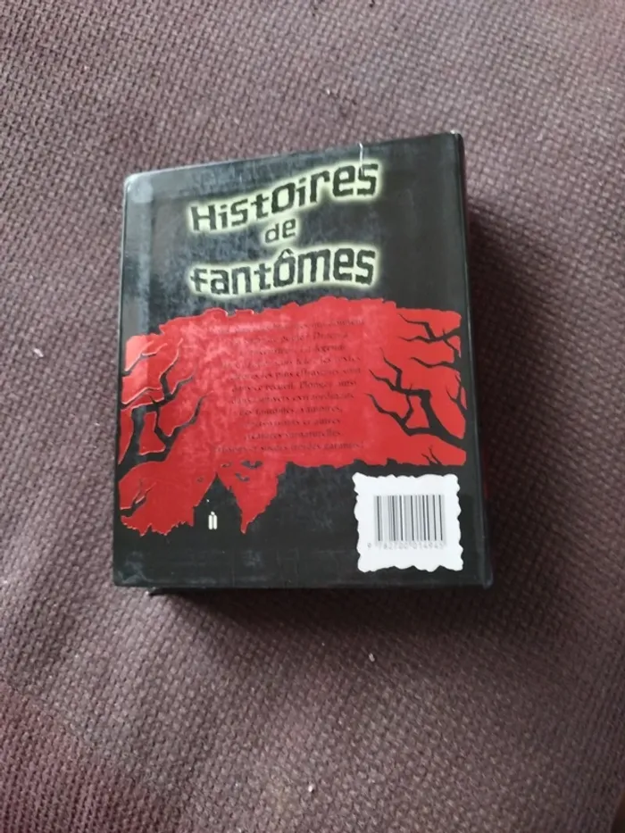 Livre histoire de fantômes - photo numéro 2