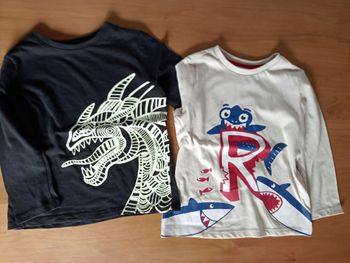 2 tee-shirts manches longues garçon Dpam 4 ans
