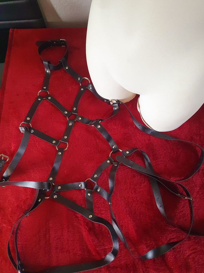 Ceinture noire de corps intégral festival bondage bdsm costume - photo numéro 4