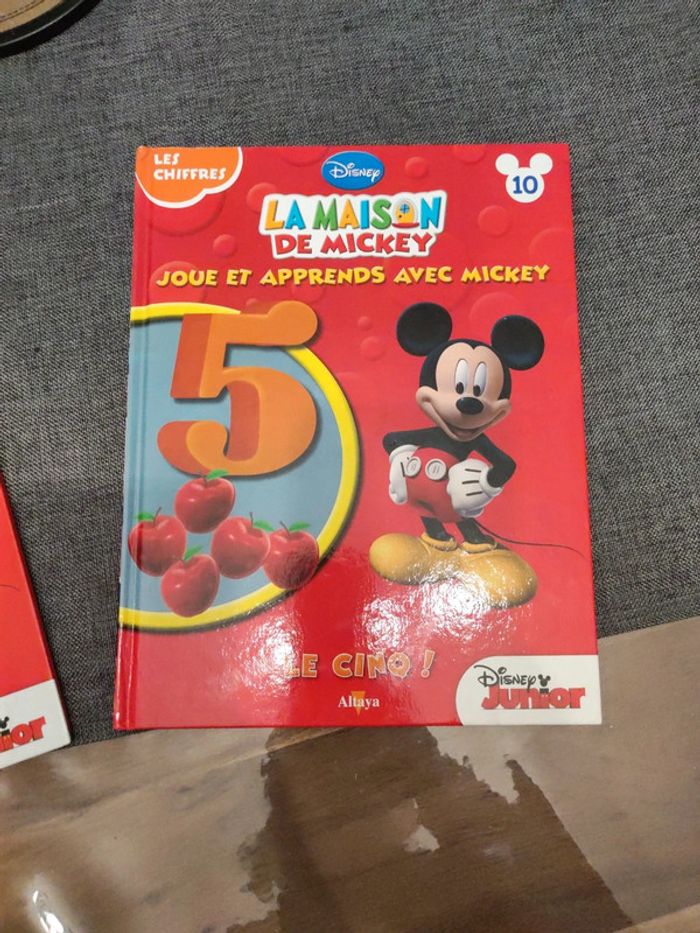 Livre Mickey - photo numéro 3