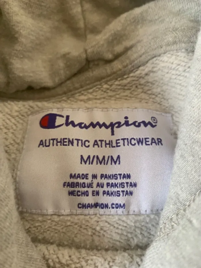 Sweat à capuche Champion Gris - Un classique indémodable - photo numéro 3