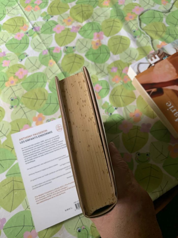 Lot romans - photo numéro 16