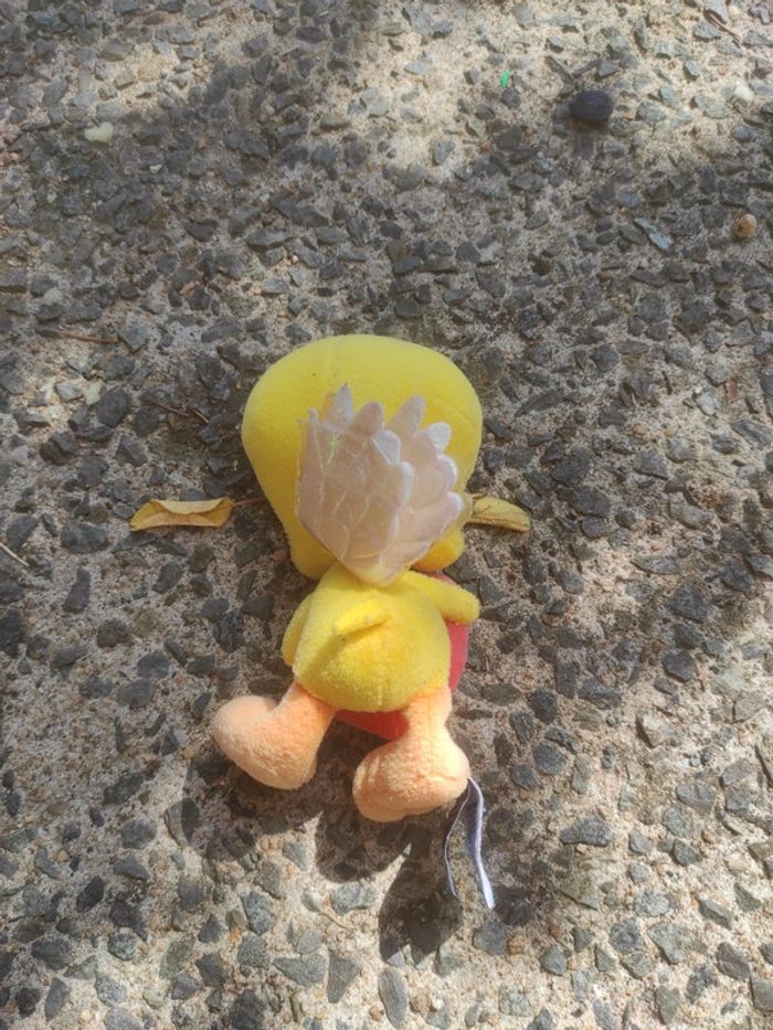 Titi 15 cm - photo numéro 2