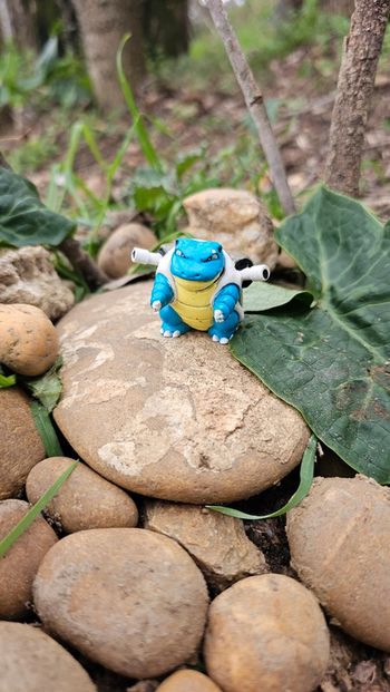 Super figurine Pokemon Nintendo tomy tortank