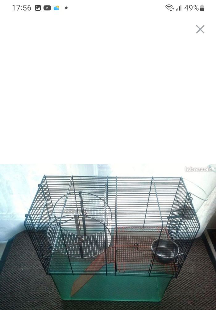 Cage petits rongeurs - photo numéro 2