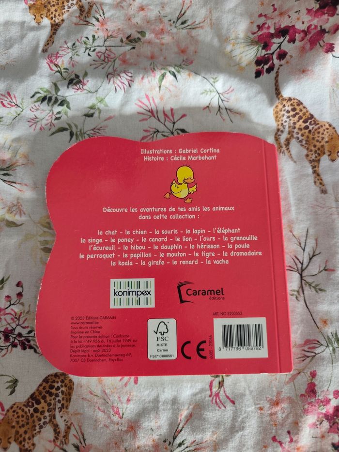 Pinpon le canard - photo numéro 2