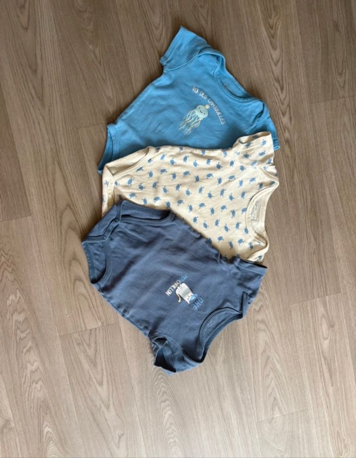 Lot bodies