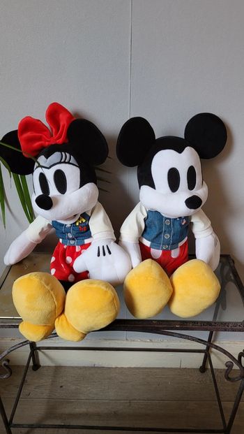 Duo Mickey et Minnie
