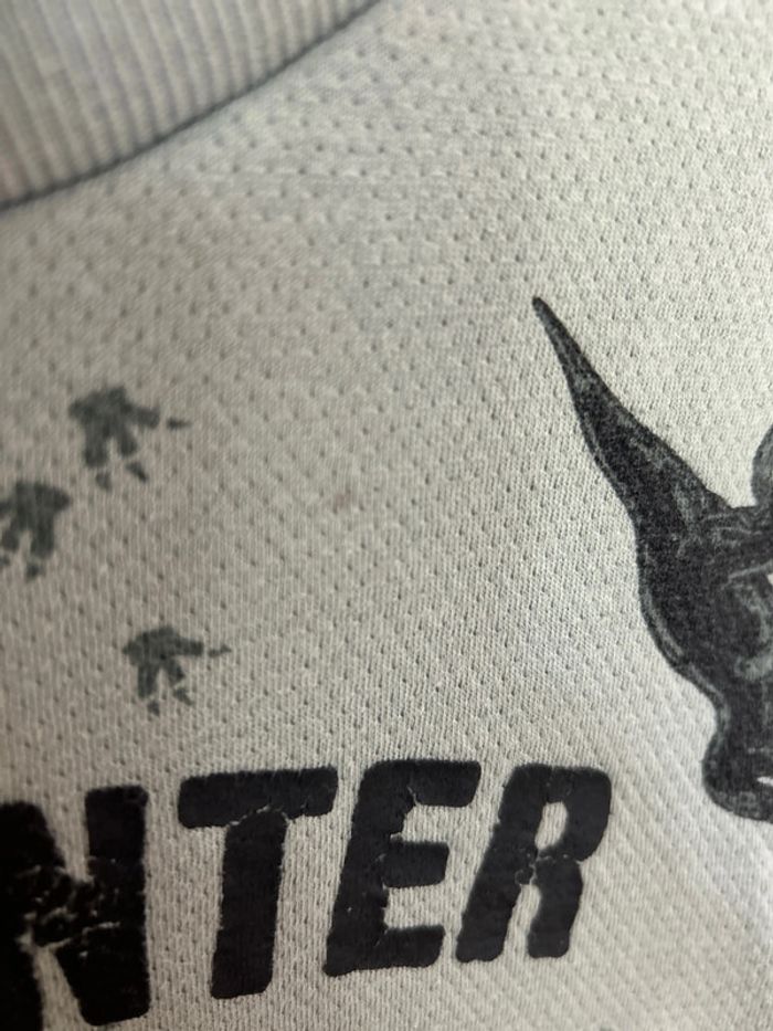 Sweat dinosaure - photo numéro 4