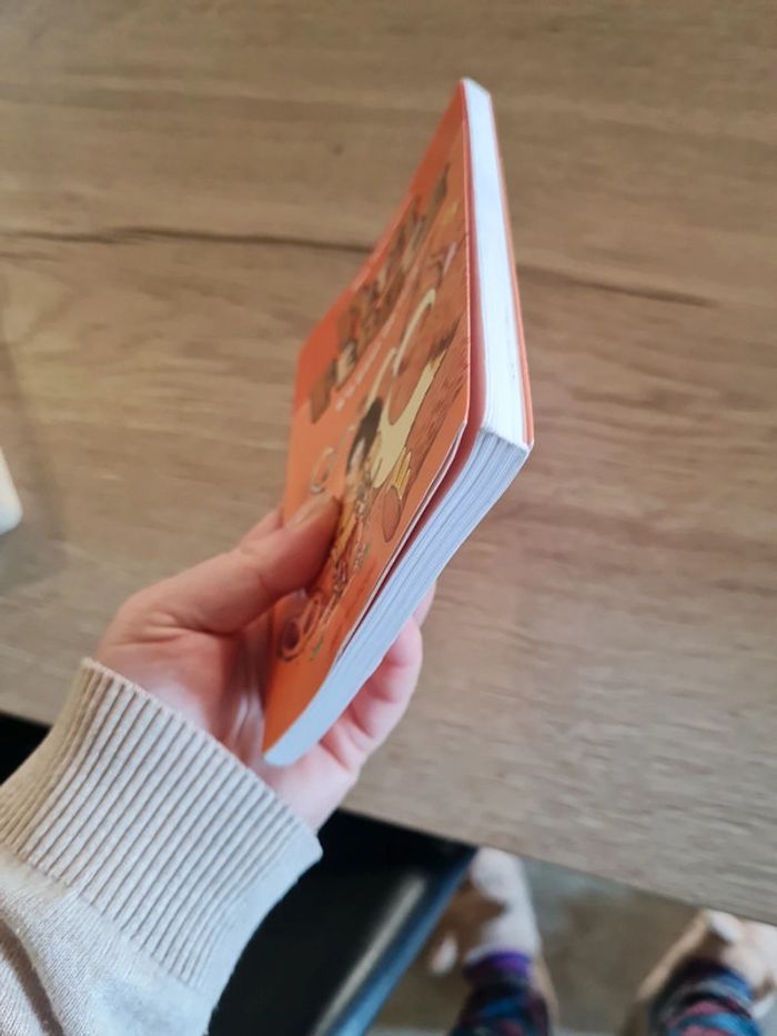 Livre Petit Féroce n'a peur de rien - photo numéro 8