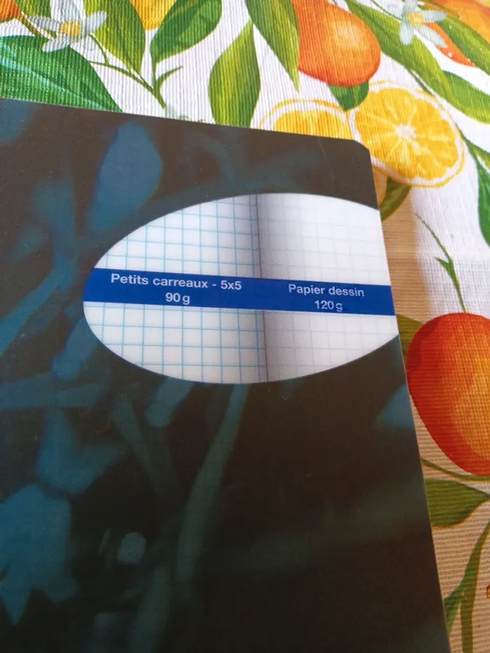 Maxi Cahier de travaux pratiques - photo numéro 3