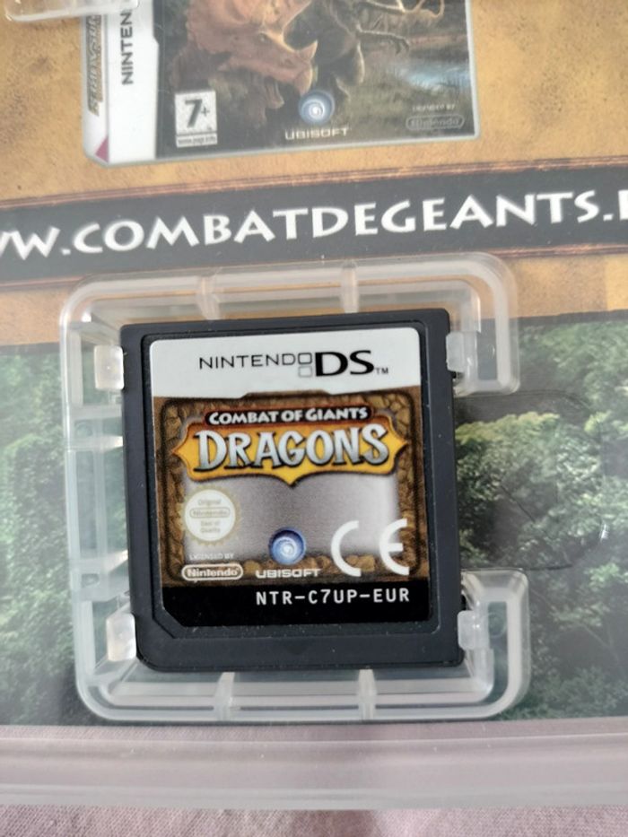 Combat de géant dragon DS - photo numéro 3