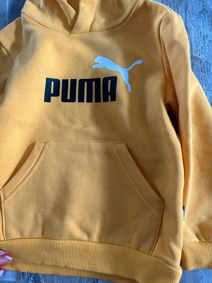 Pull à capuche Puma T3/4 ans - photo numéro 2