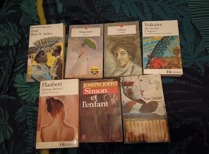 Lot de livres - photo numéro 2