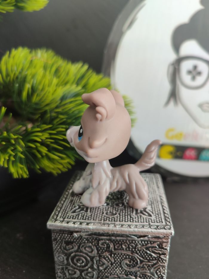 My Littlest Petshop Pet Shop LPS Authentic Authentique Dog Collie Colley 67 - photo numéro 3