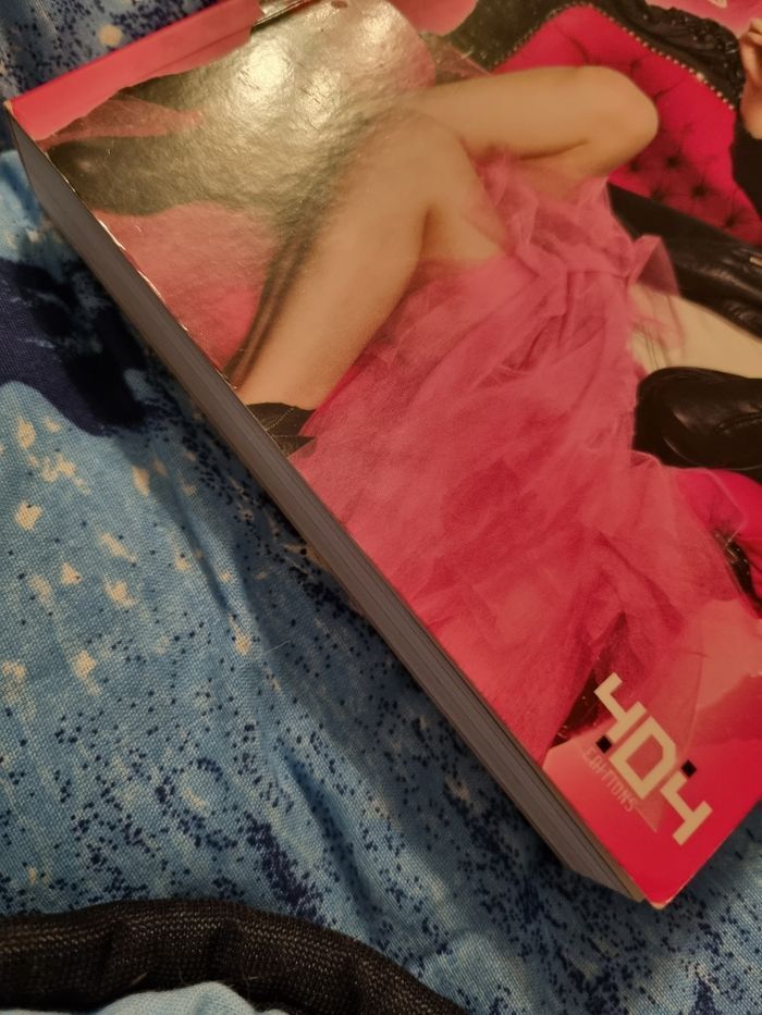 Roman Princesse 2.0 - photo numéro 3