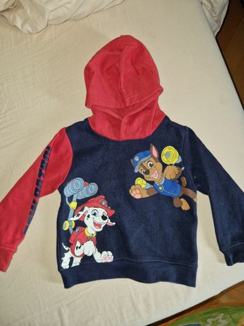 Pull à capuche pat patrouille
