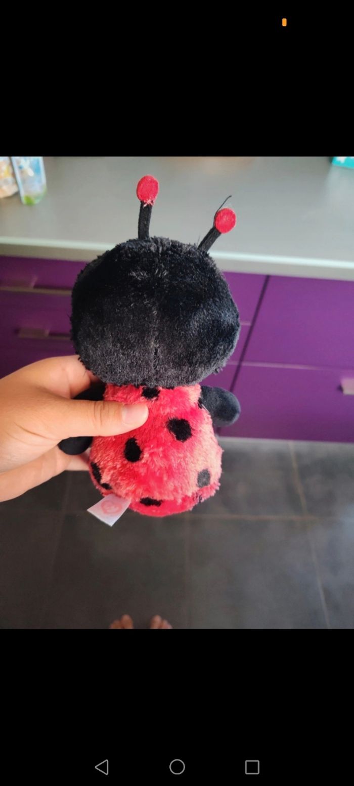 Coccinelle - photo numéro 2