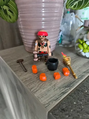 Playmobil thème Novelmore