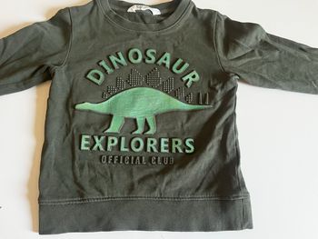 Sweat dinosaure