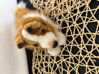 Peluche pour chien Dakin Palladium Limited Collie Lassie vintage jemini , lassie