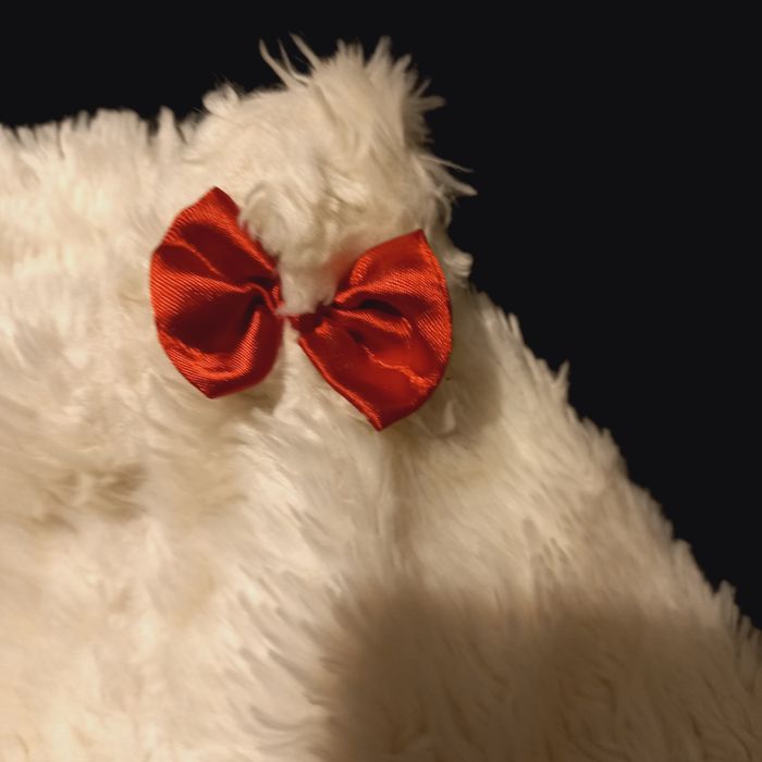 Bonnet enfant 9-12 mois - photo numéro 5