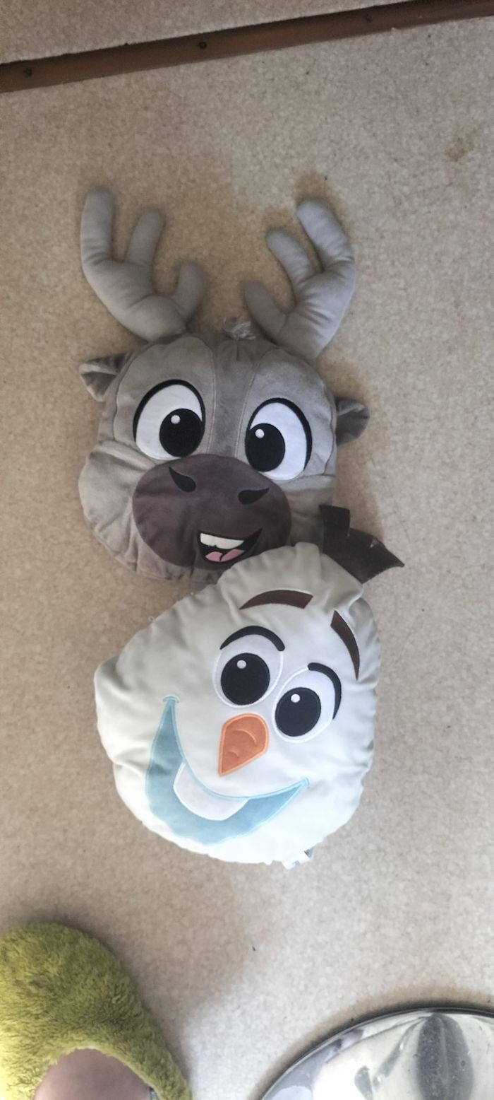 2 coussins reine des neiges
