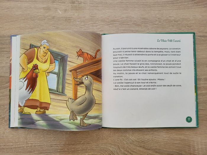 Le vilain petit canard - photo numéro 4