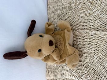 Histoire d ours Doudou Marionnette Chien beige marron