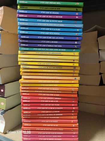 40 livres ptit loup collection complète