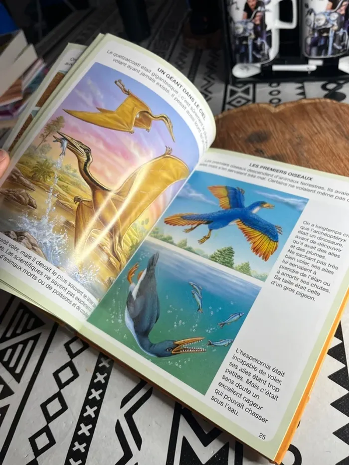 L’imagerie des dinosaures et de la préhistoire - photo numéro 4