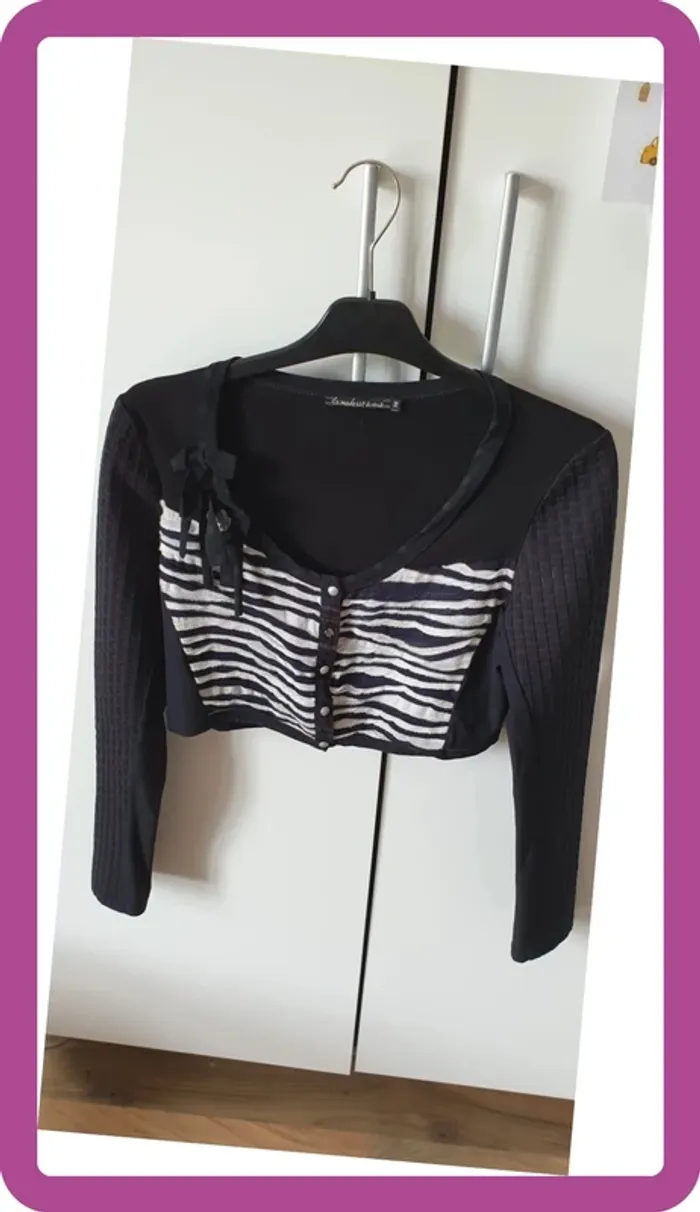 Blazer LMV