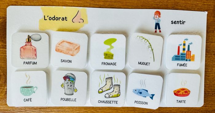 Jeu de reconnaissance des 5 sens, inspiration Montessori - photo numéro 7