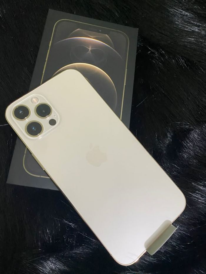 iPhone 12 pro max - photo numéro 2