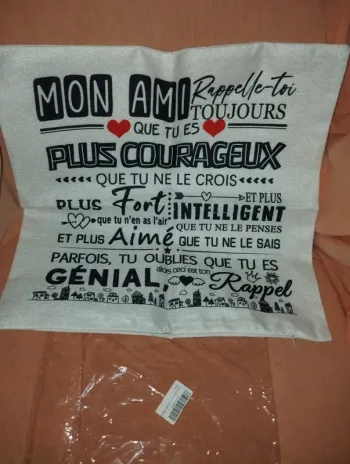 * Taie d'oreiller 45x45 original Mon ami