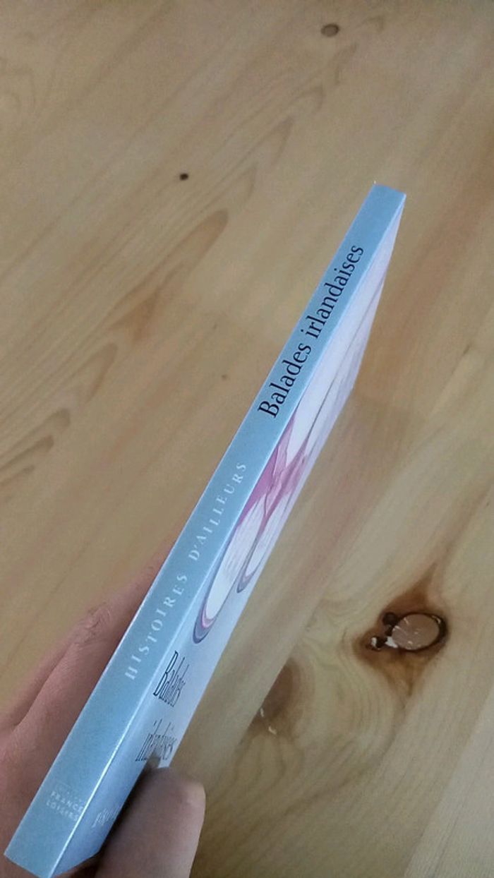 Balades irlandaises - photo numéro 2