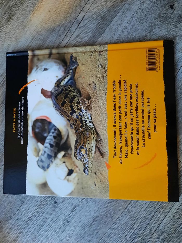 Crocodile - photo numéro 2