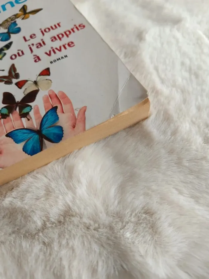 Livre : le jour où j'ai appris à vivre - photo numéro 2