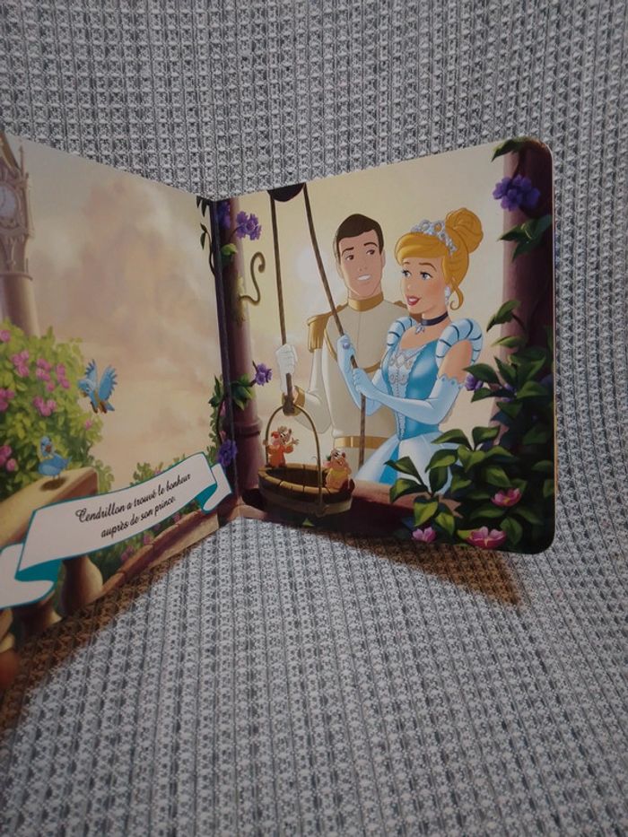 Mes princesses préférées - Disney Princess - photo numéro 4