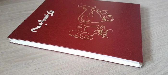 Paul Gauguin - Robert Goldwater - photo numéro 7