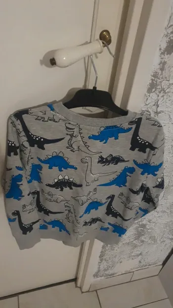 Sweat fourré dinausores 6 ans