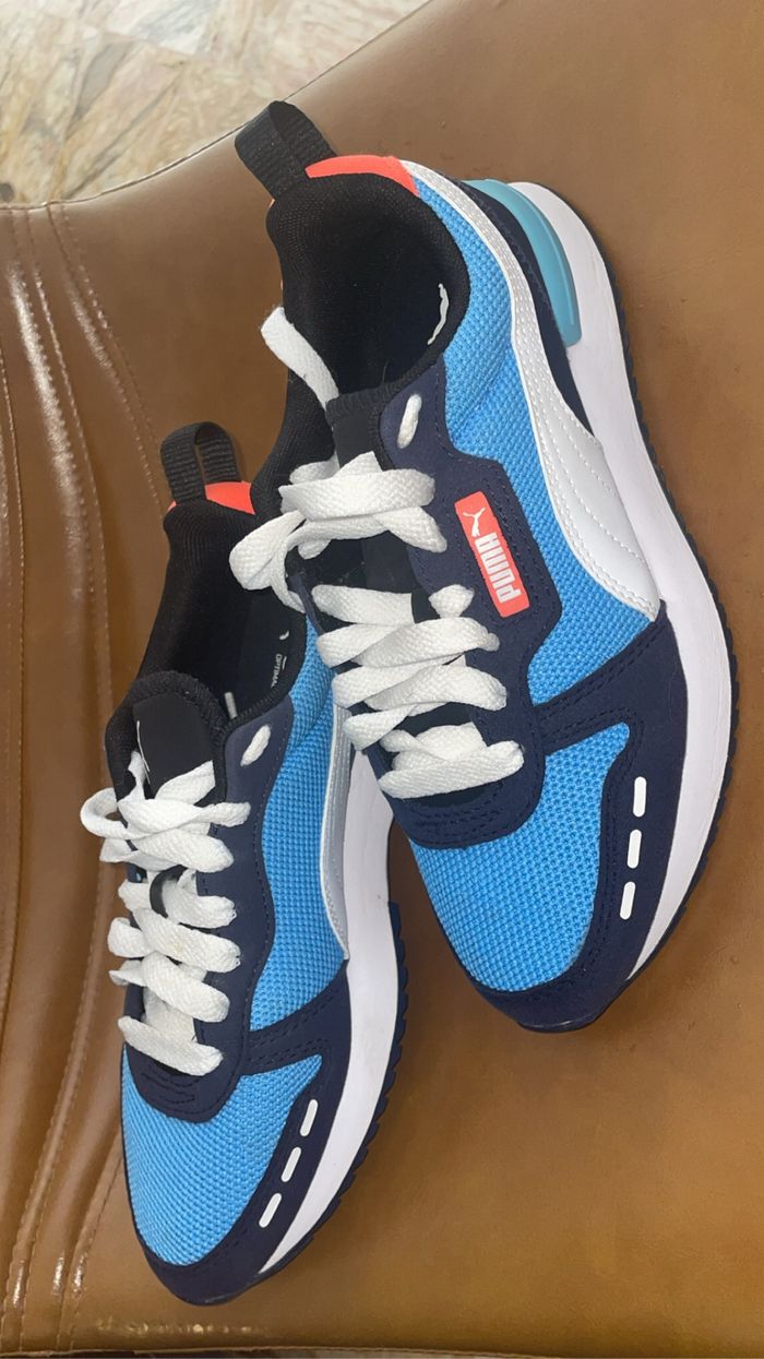 Puma bleu - photo numéro 2