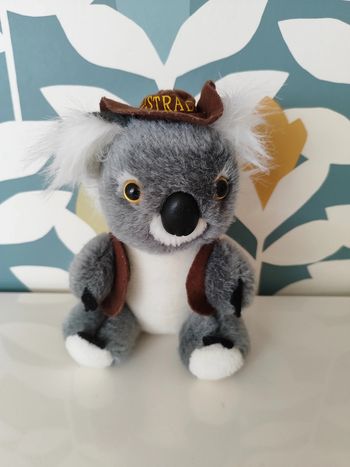 Peluche koala australia