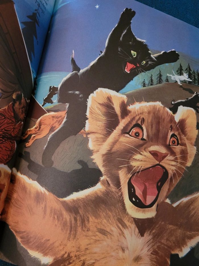 1962 Livre ancien Les Vacances de Caroline Grands Albums Hachette Pierre Probst collection - photo numéro 8