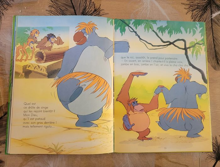Le Livre De La Jungle Disney - photo numéro 5