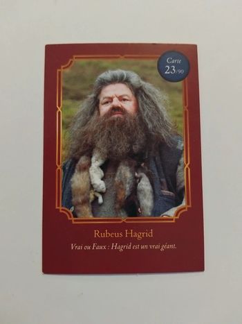 🃏 Carte Harry Potter (Auchan) - Wizarding World - Rubeus Hagrid 23/90