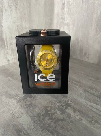 Montre ice Watch