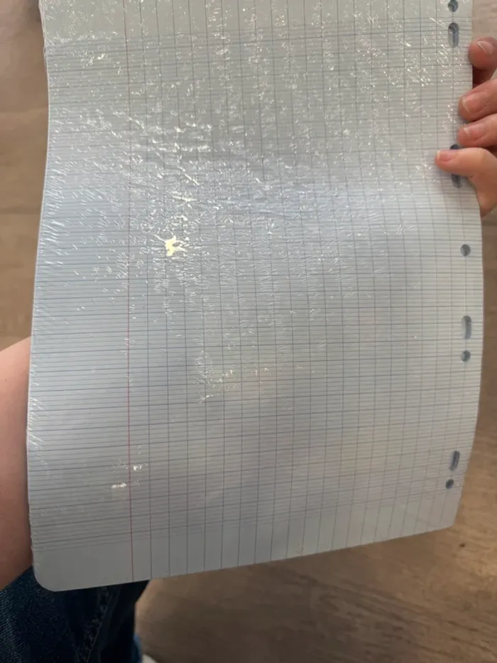 Feuille simple perforé grand carreau bleu clair - photo numéro 4