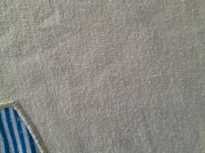 Tee-shirt manches courtes - photo numéro 2